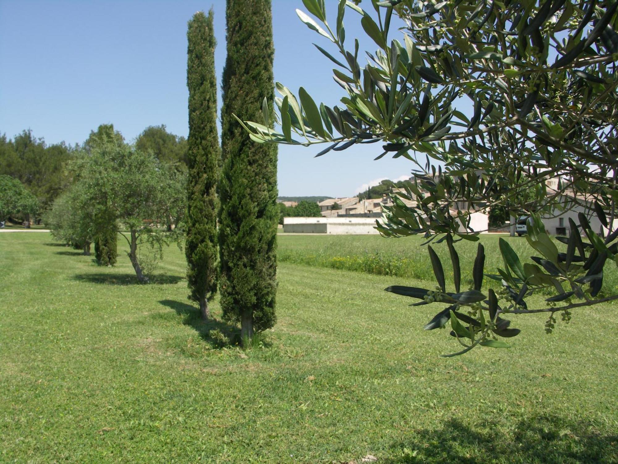 فندق Domaine Saint Martin Valliguieres المظهر الخارجي الصورة