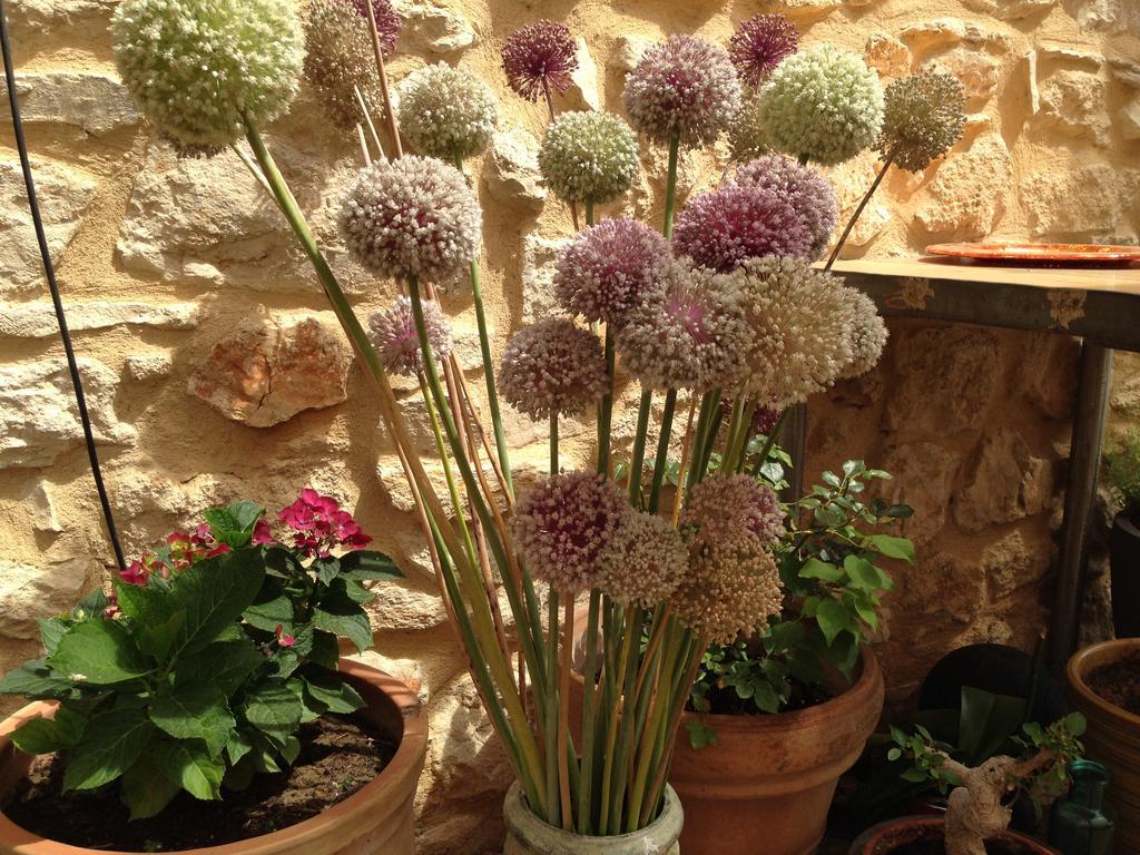 فندق Domaine Saint Martin Valliguieres المظهر الخارجي الصورة